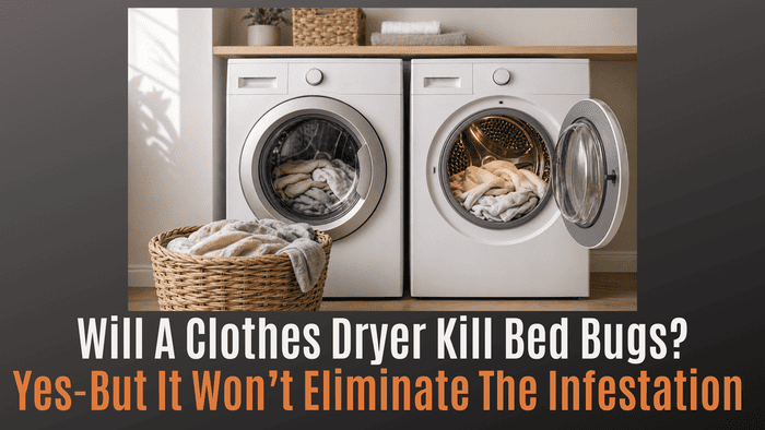 
                    Will a Clothes Dryer Kill Bed Bugs? Yes—But It Won’t Eliminate the Infestation
                          
