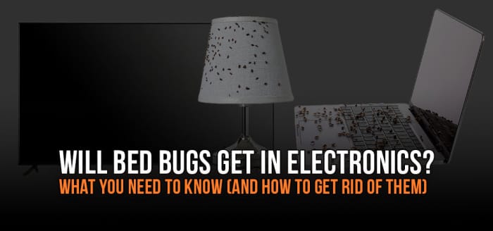 
                    Will Bed Bugs Get in Electronics? What You Need to Know (and How to Get Rid of Them Safely and Effectively)
                          