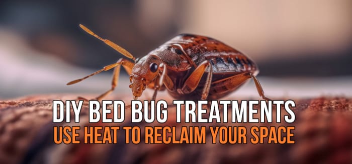 
                    Close-up of a bed bug on fabric with overlay text 