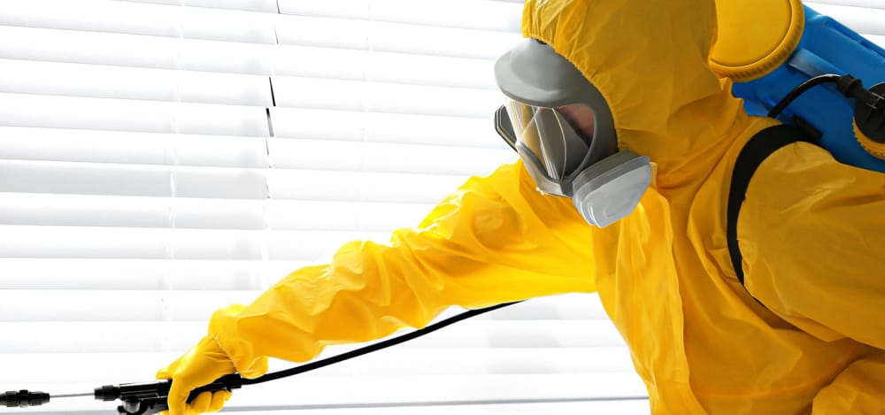 
                Person in protective gear spraying pesticide near window blinds, illustrating traditional pest control methods discussed in bed bug remediation article.
                      