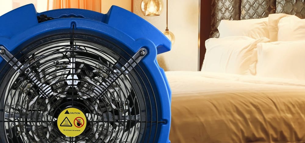 
                Bedbug heaters for sale
                      