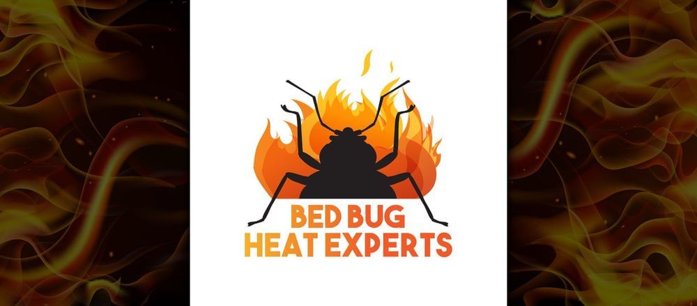 
                bed bug heat treatment expert
                      