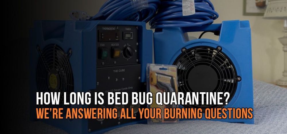 
                How Long is Bed Bug Quarantine? And Other Common Bed Bug Questions
                      