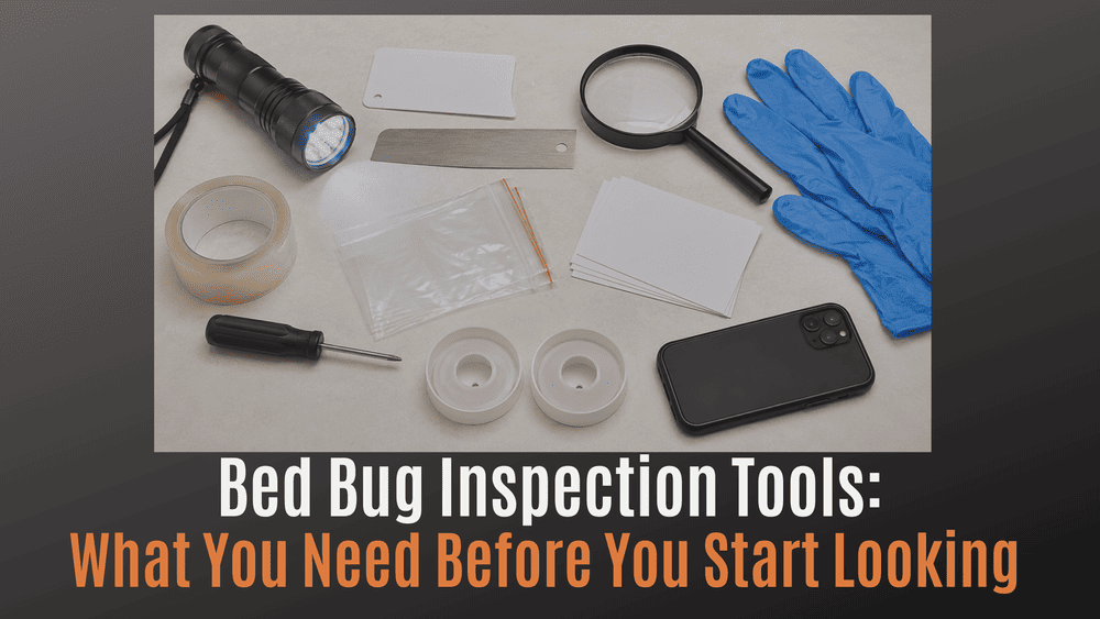 
                Bed Bug Inspection Tools: What You Need Before You Start Looking
                      