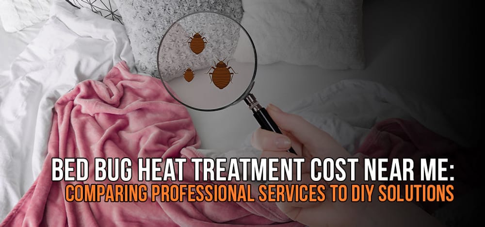 Bed bug heat treatment comparison graphic featuring a magnifying glass over bed bugs on a blanket, highlighting the cost of professional services versus DIY solutions.