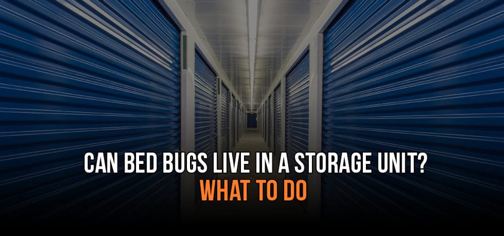 
                Can Bed Bugs Live in a Storage Unit?
                      
