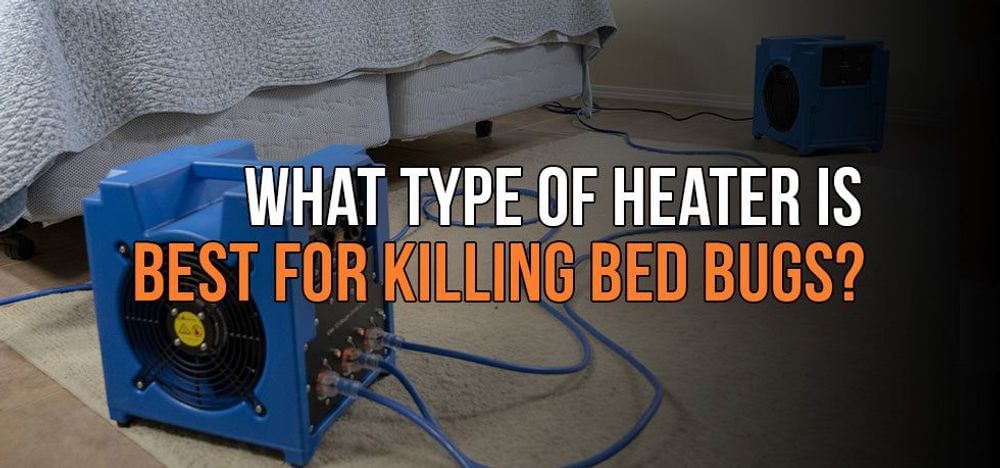 
                What Type of Heater is Best for Killing Bed Bugs?
                      