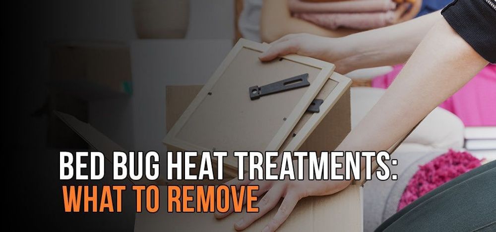 
                Bed Bug Heat Treatments: What to Remove
                      