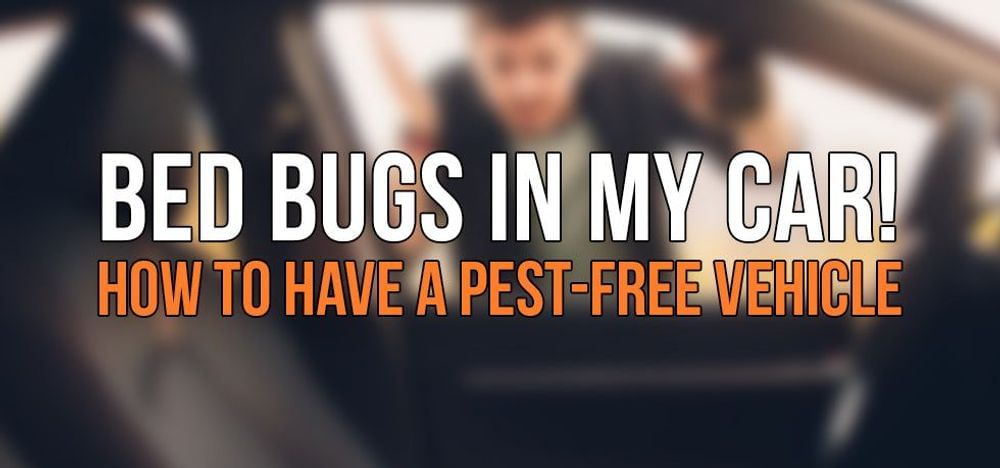 
                Bed Bugs in My Car! How to Have a Pest-Free Vehicle
                      