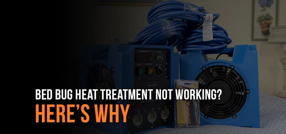
                Bed Bug Heat Treatment Not Working? Here’s Why
                      