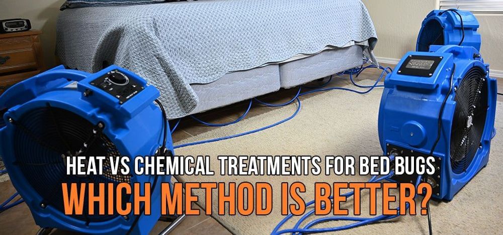 
                Heat Treatment vs Chemical for Bed Bugs: Which Method is Better?
                      