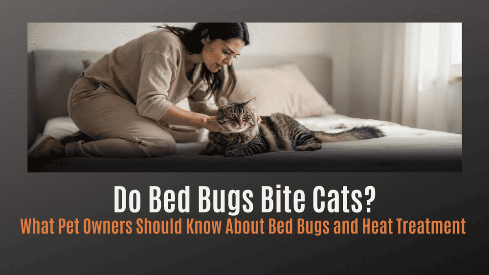 
                Do Bed Bugs Bite Cats? What Pet Owners Should Know About Bed Bugs and Heat Treatment
                      