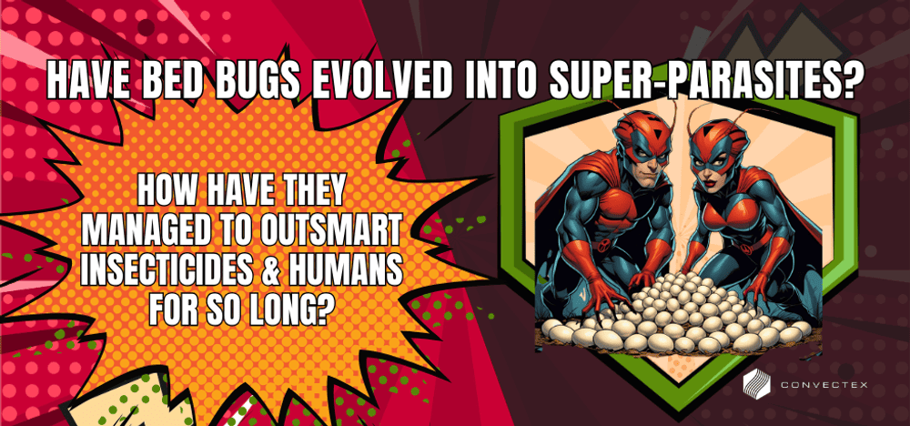 
                Are Bed Bugs the Ultimate Super-Parasites? How They’ve Outsmarted Pesticides & Humans
                      