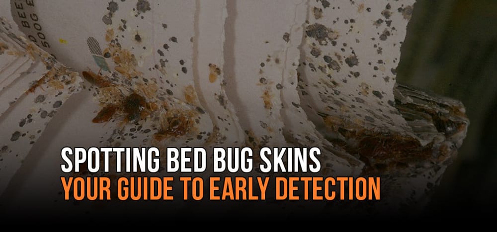detached futon cover turned inside out showing bed bug eggs and shed skins
