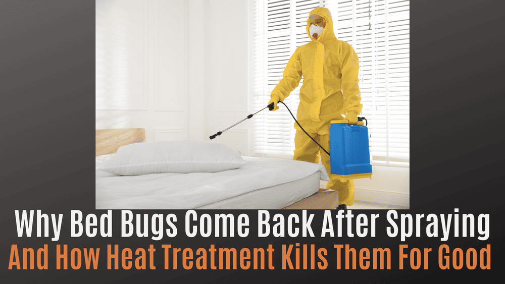 
                Why Bed Bugs Come Back After Spraying — And How Heat Treatment Kills Them for Good
                      