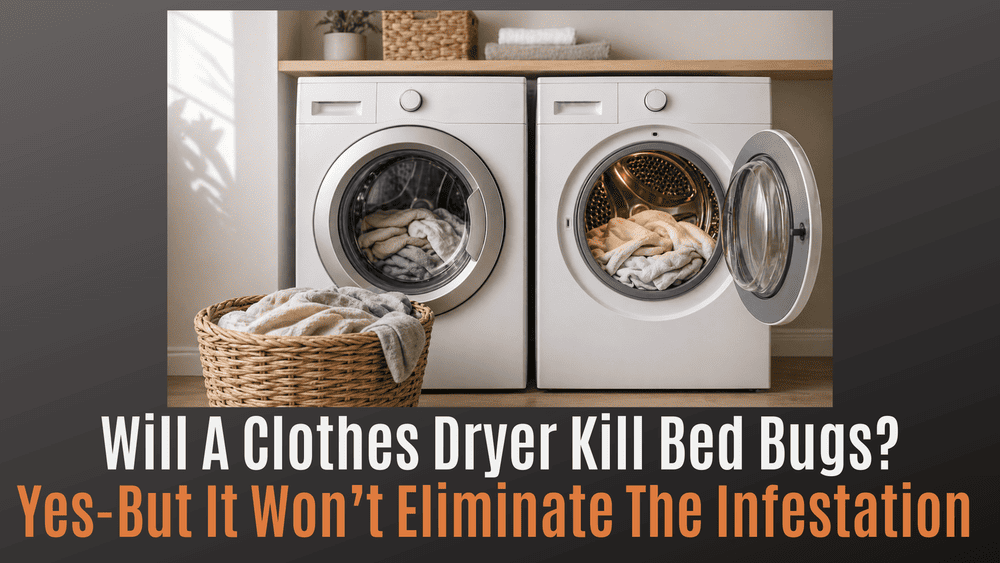 
                Will a Clothes Dryer Kill Bed Bugs? Yes—But It Won’t Eliminate the Infestation
                      