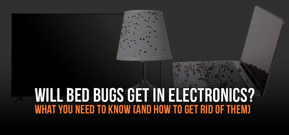
                Will Bed Bugs Get in Electronics? What You Need to Know (and How to Get Rid of Them Safely and Effectively)
                      