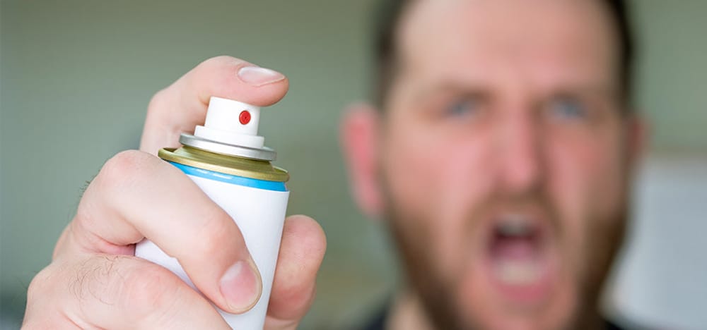 Bed bug sprays