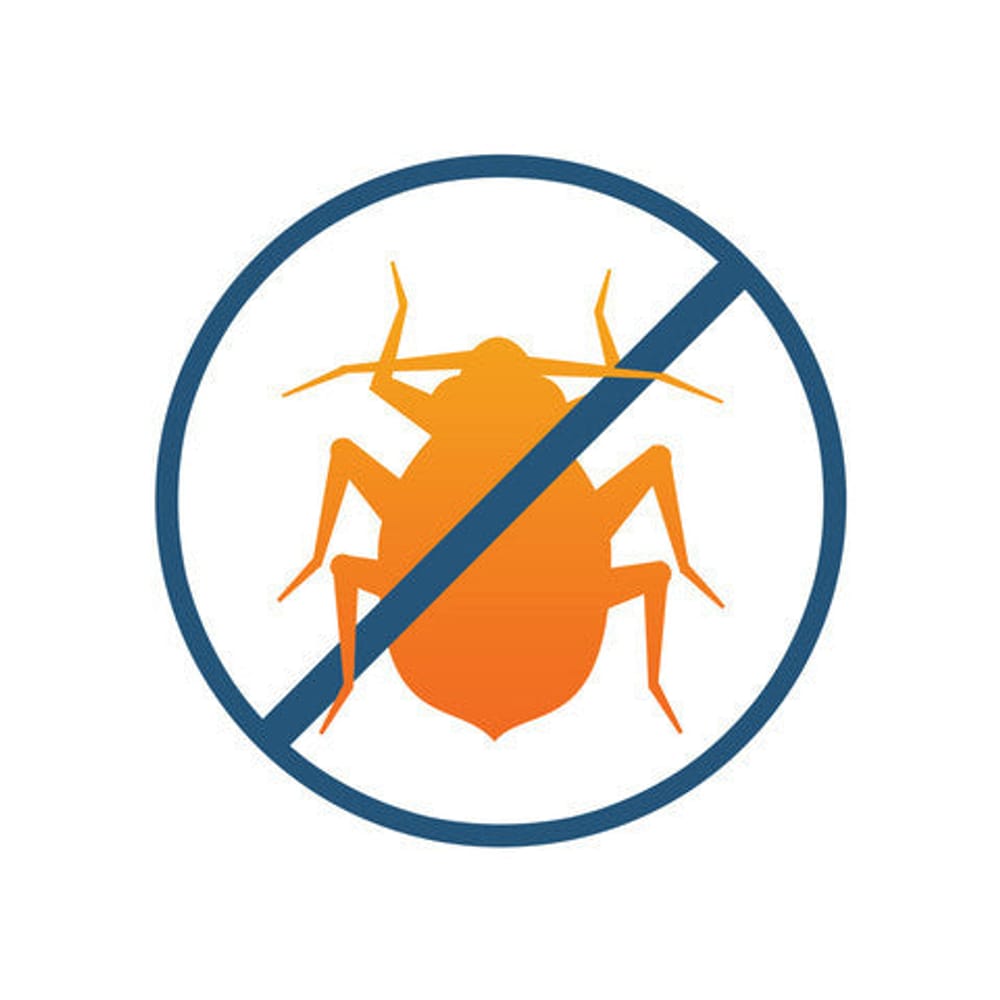 
                Kill Bed bugs
                      