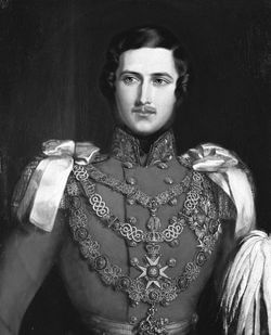 Prince Albert, Consort