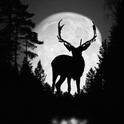 Buck Supermoon, July 2023