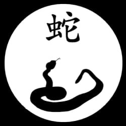 2025 Chinese New Year (Snake)