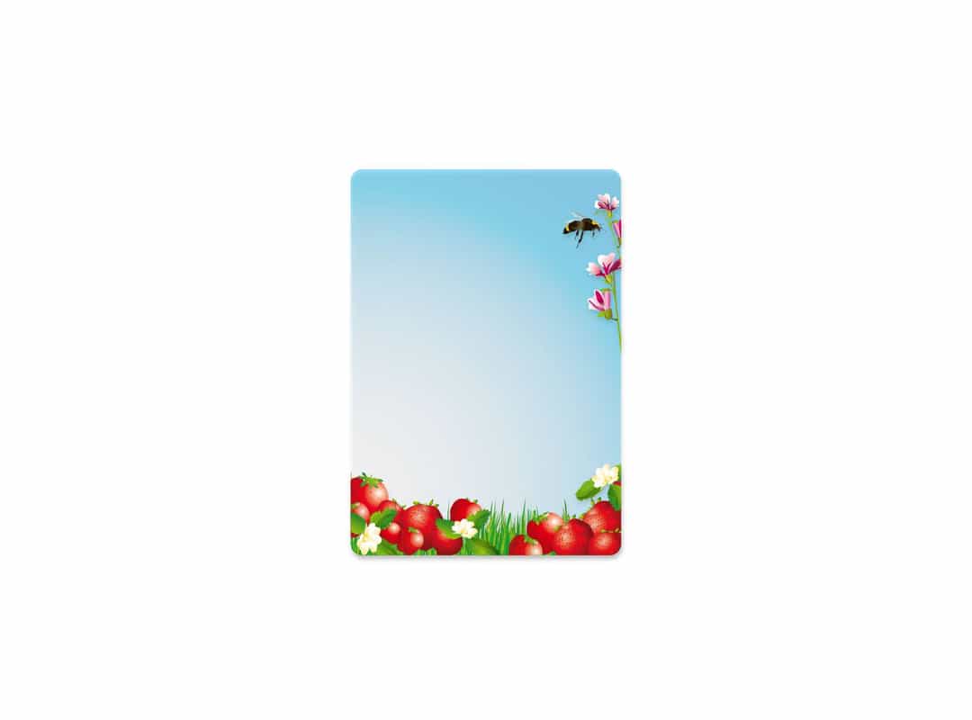 SUM016 - Summer Seasons 16 p/s Label