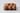 POST Dode Cal 2019 Object 05