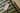 POST GANNI 2020 Phone Mockup 02