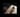 POST Spengle Website 02