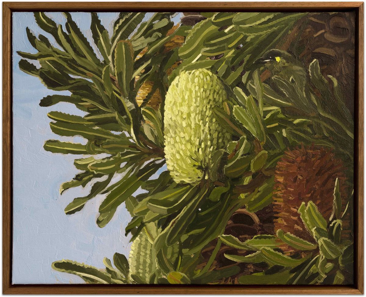 Judith Sinnamon - Wallum Banksia (Aemula) #2