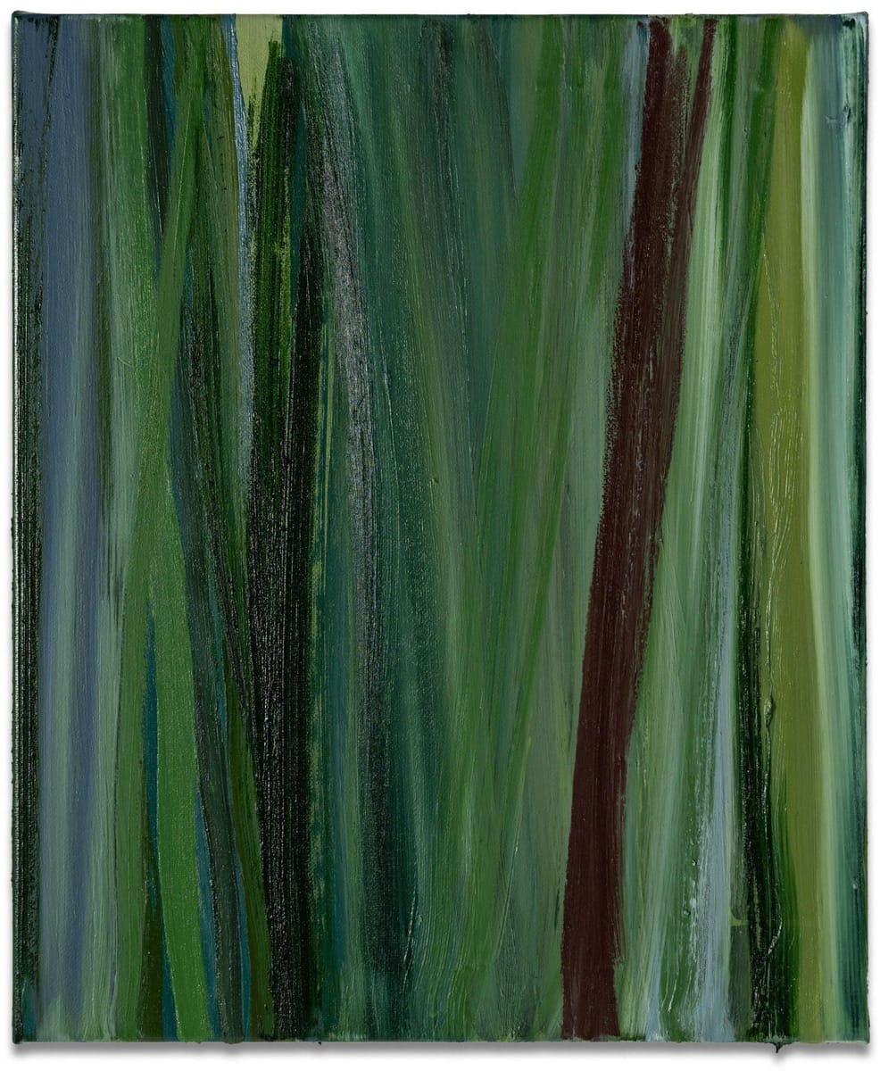 Bridie Gillman - Tree lines