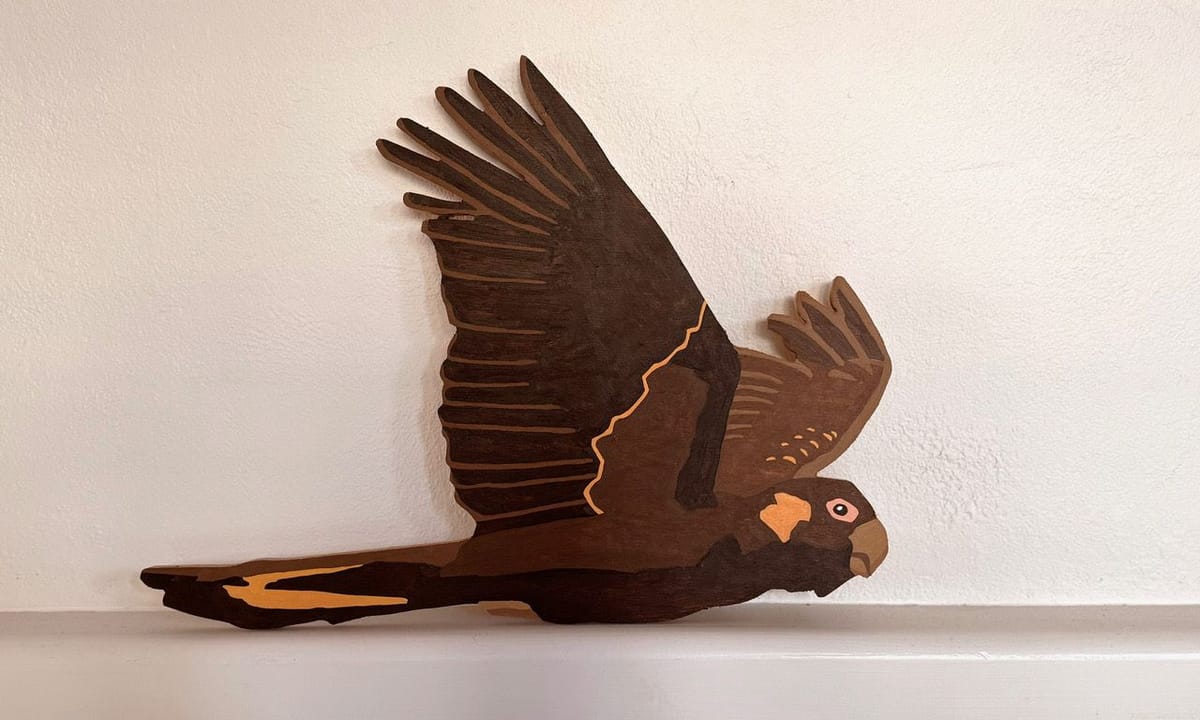 Eliza Gosse - Black Cockatoo 1