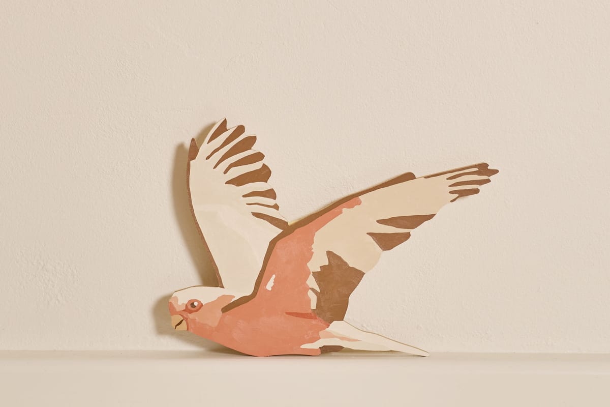 Eliza Gosse - Galah 1