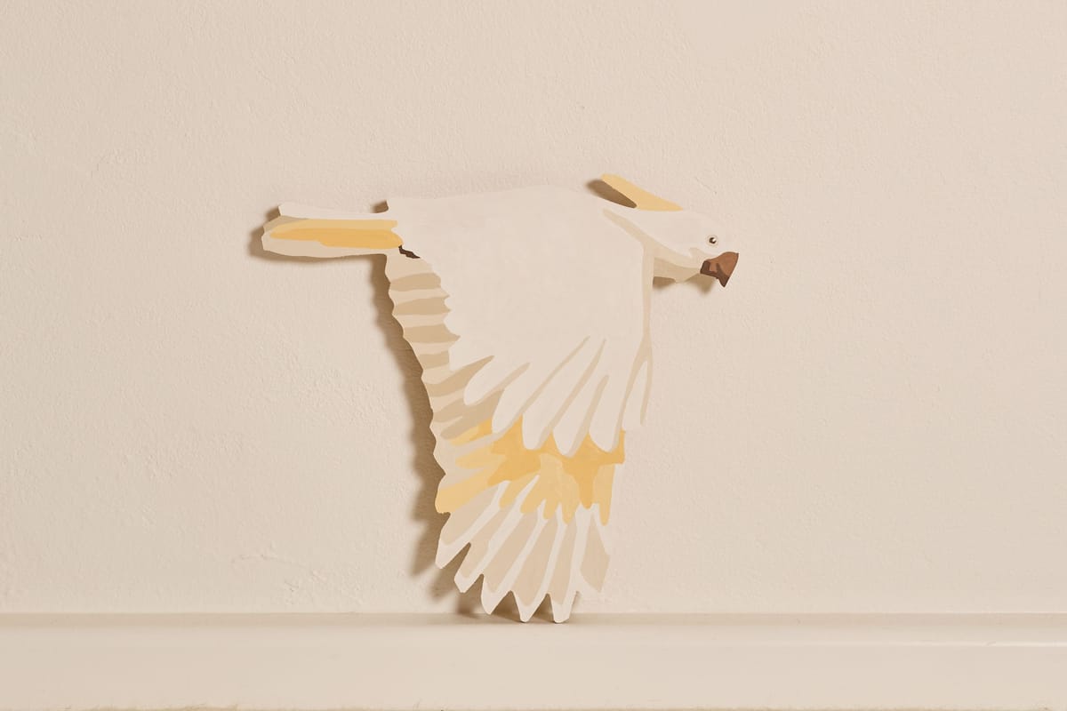 Eliza Gosse - White Cockatoo 1