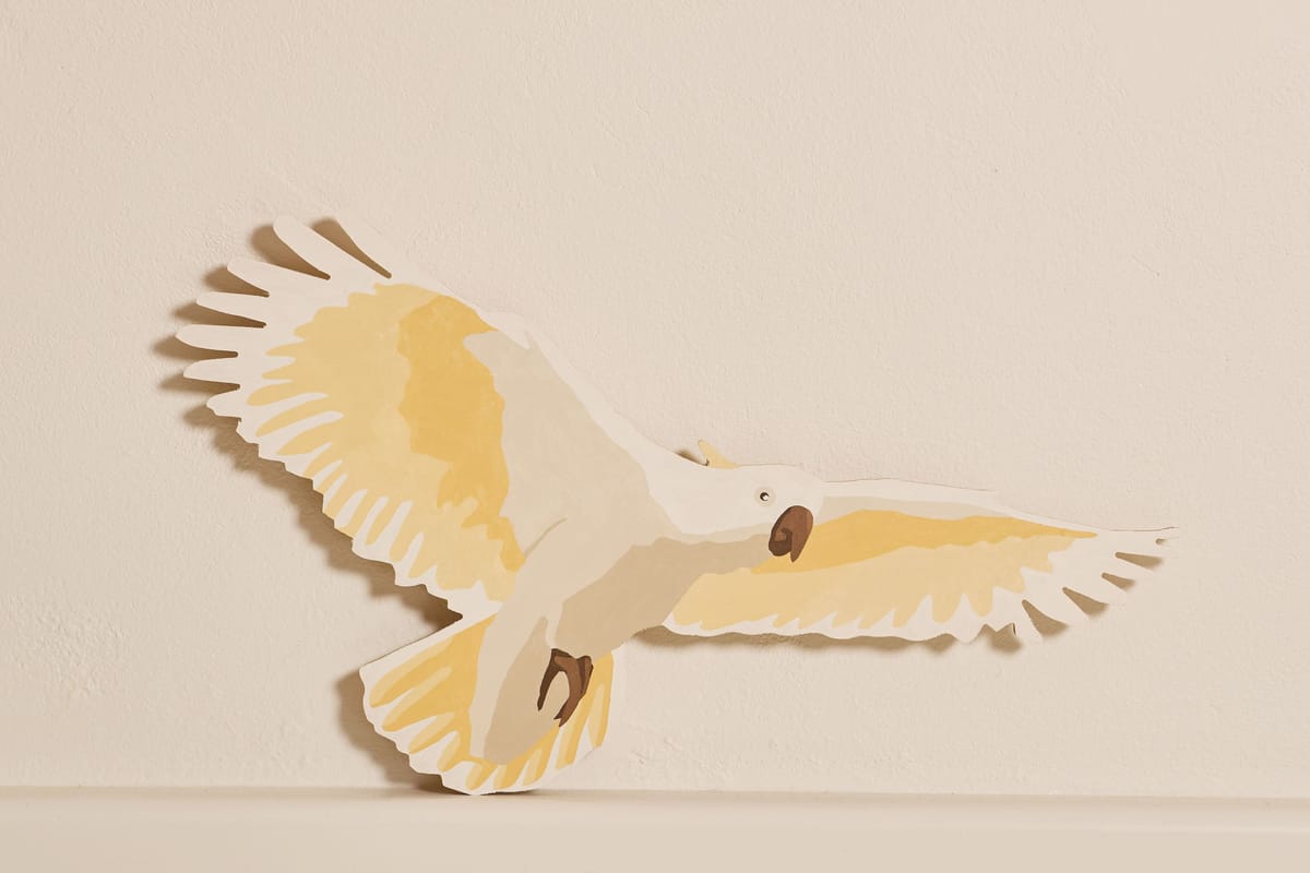 Eliza Gosse - White Cockatoo 2