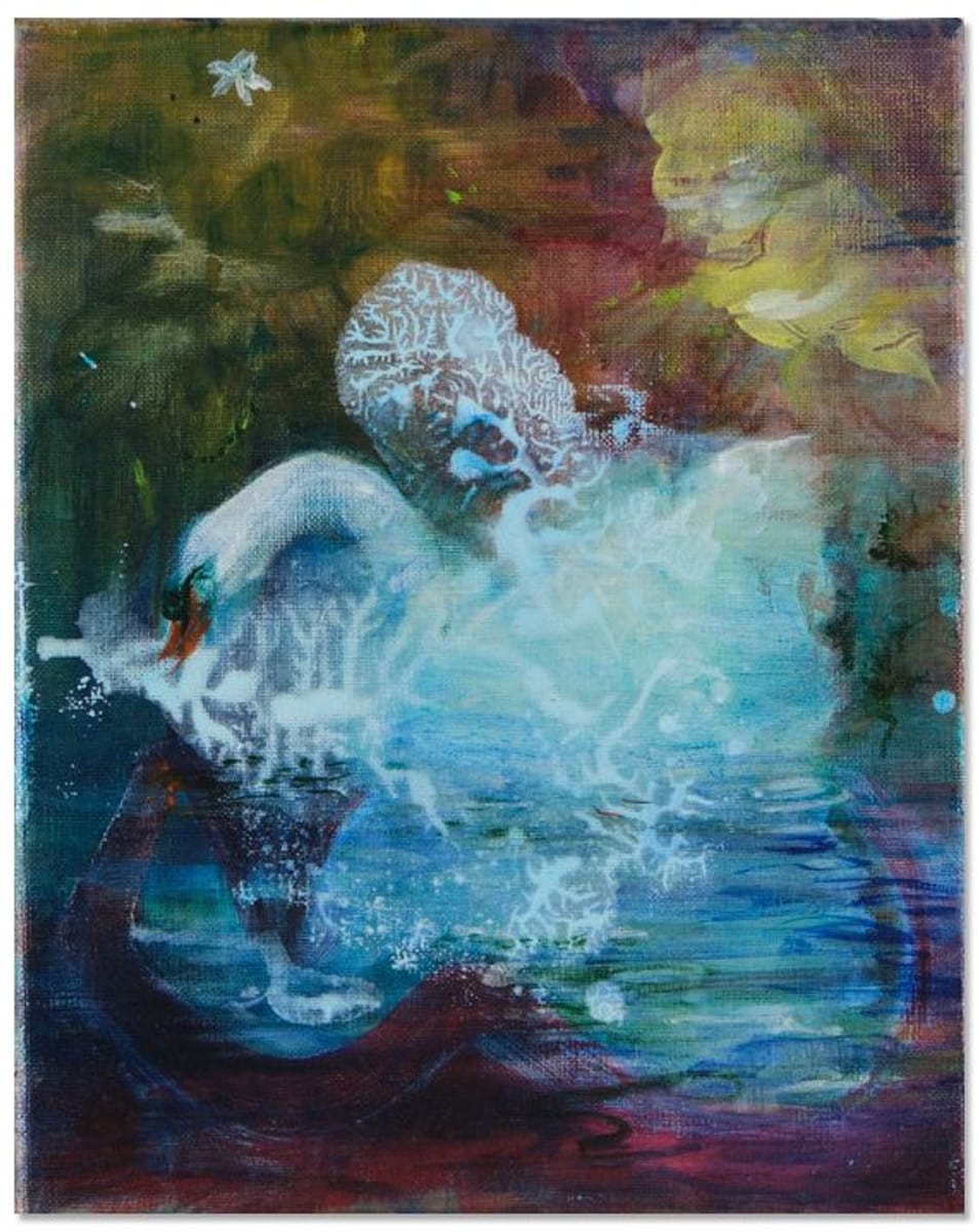 Adrienne Gaha - White Swan