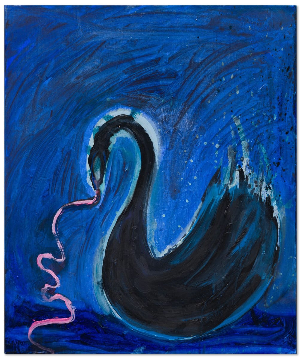 Tara Marynowsky - Light Swan