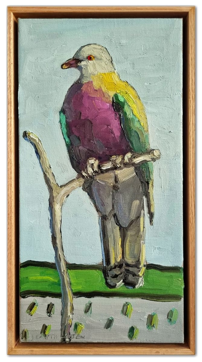 Jane Guthleben - Wompoo Fruit Dove