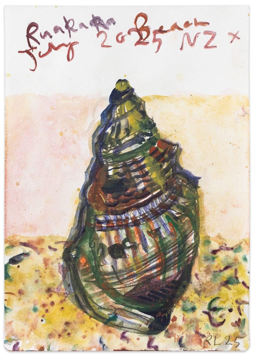 Rhys Lee - Ruakaka beach shell, NZ 2025 (study)