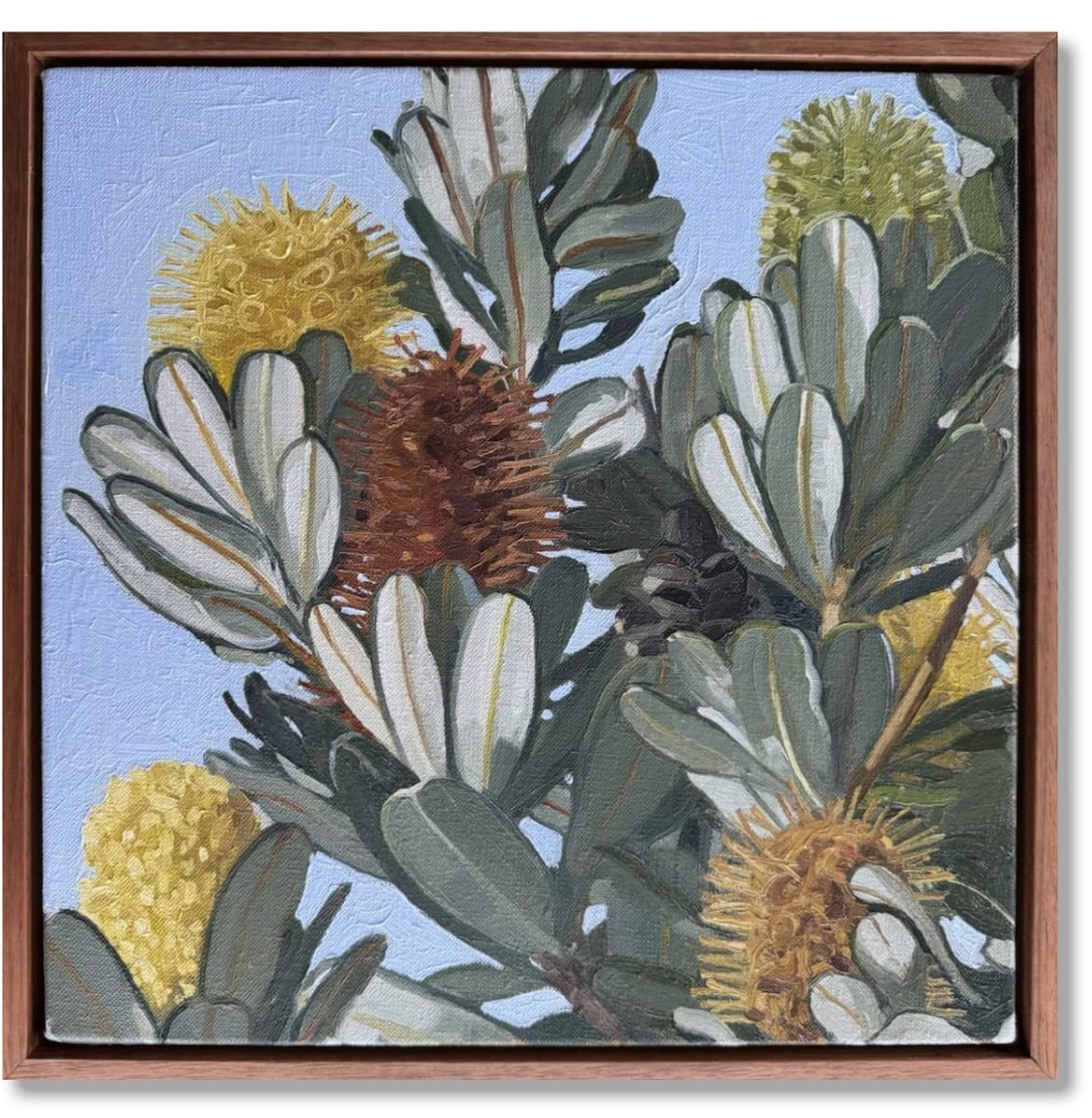 Judith Sinnamon - Banksia On Jinibara Country #5