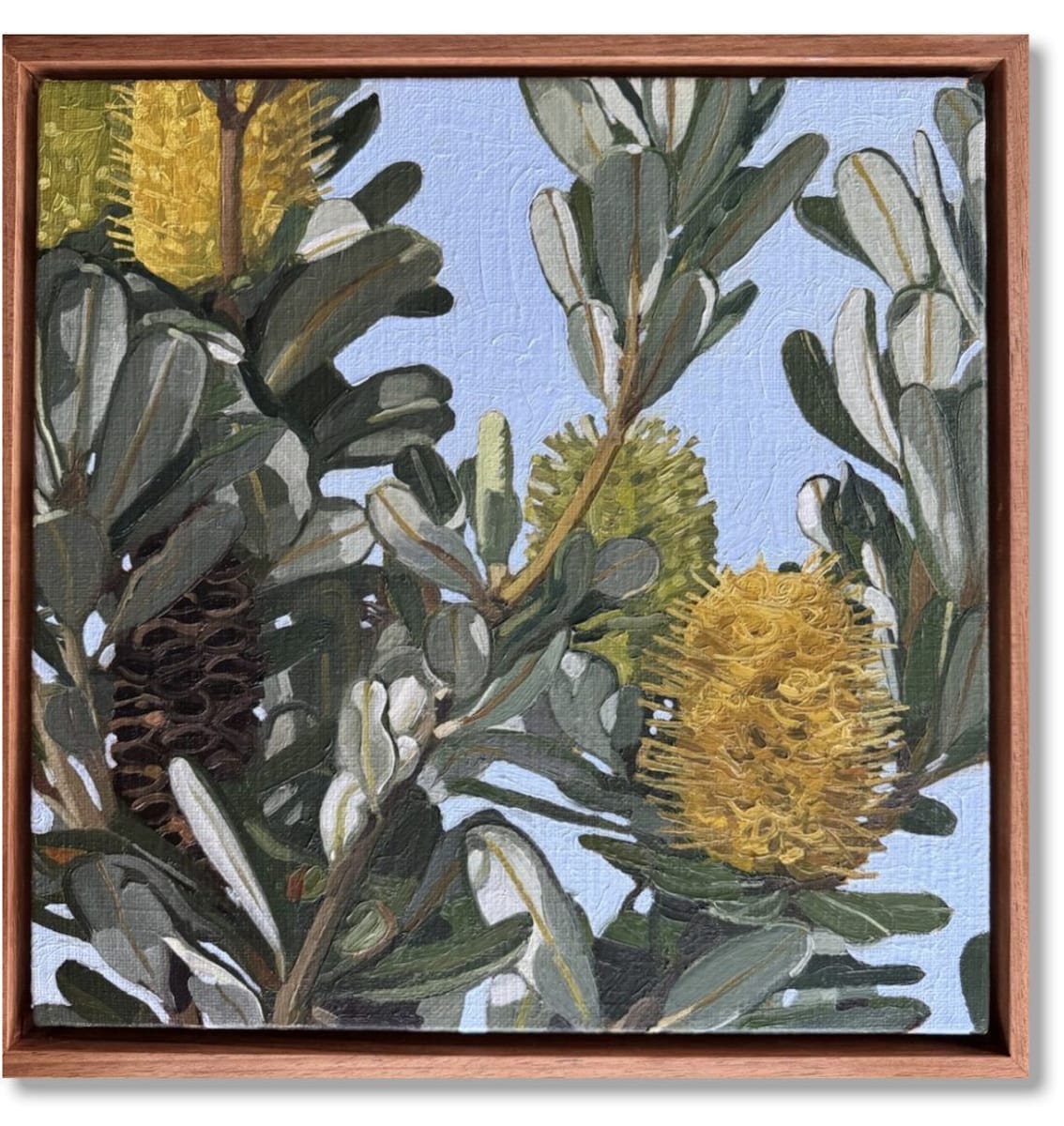 Judith Sinnamon - Banksia On Jinibara Country #6