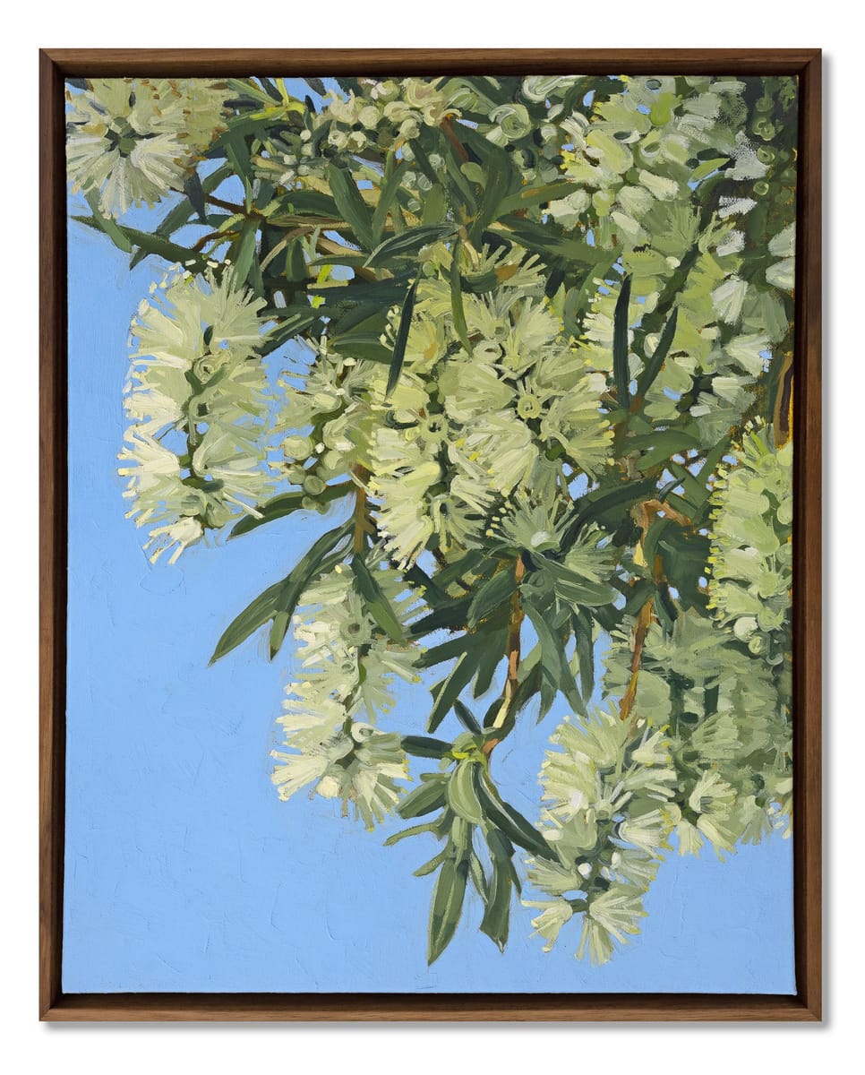 Judith Sinnamon - Melaleuca on Jinibara Country #2