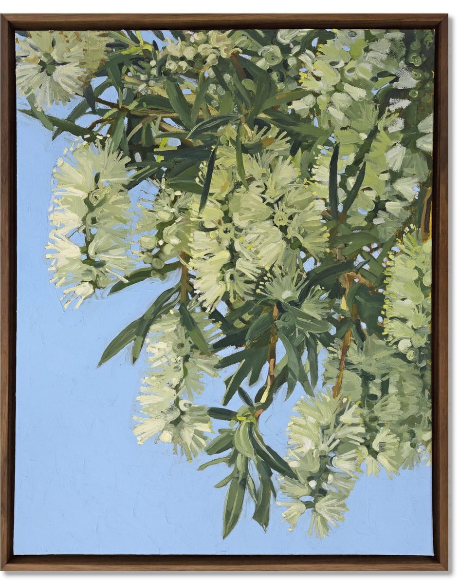 Judith Sinnamon - Melaleuca On Jinibara Country #2