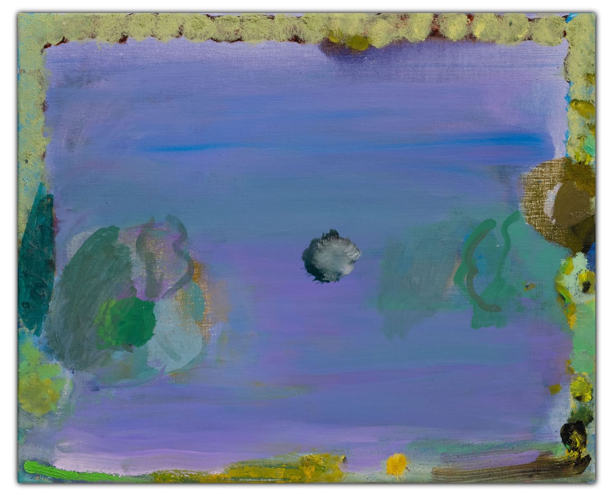 Miranda Skoczek - Soft Field
