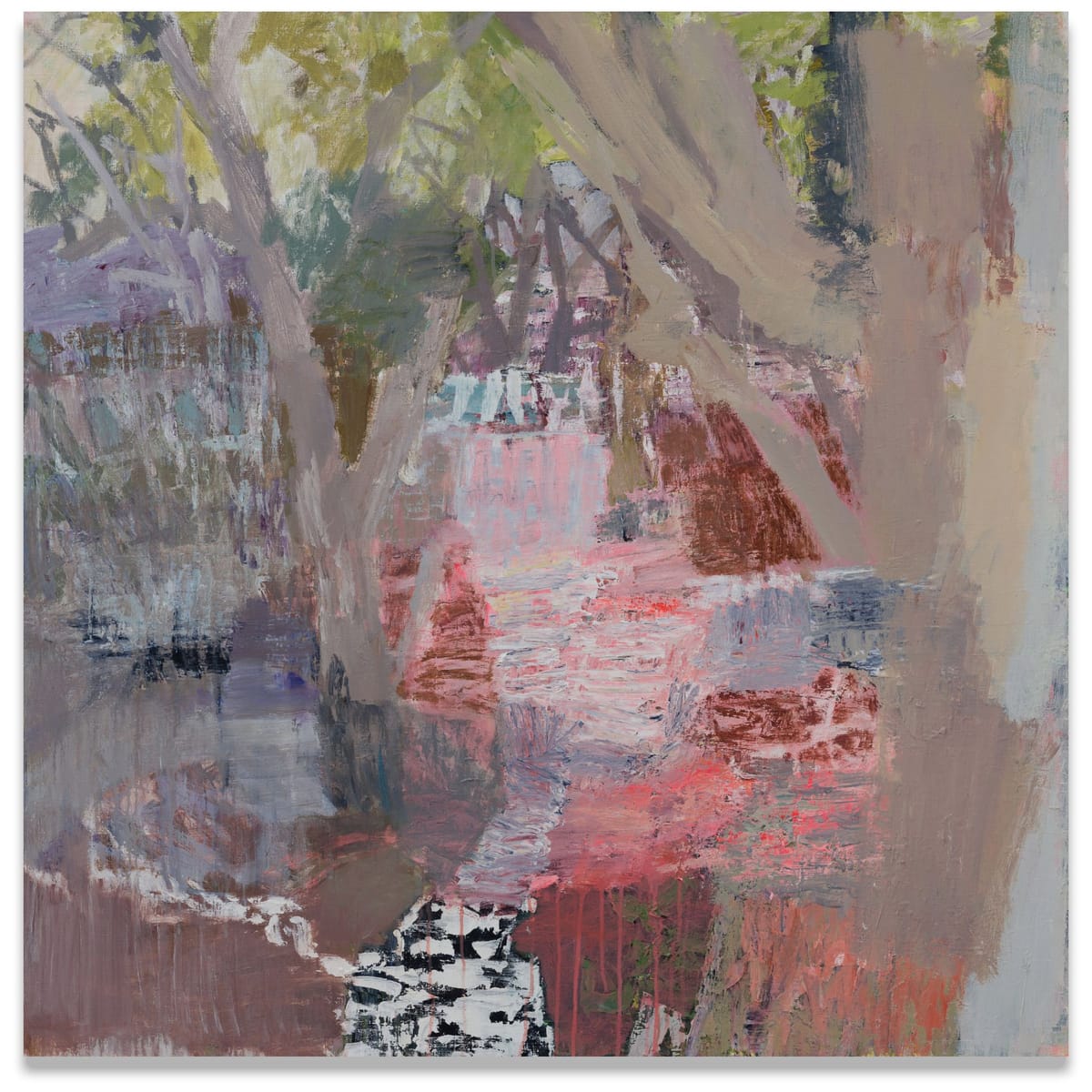 Joanna Logue - River Gum Dream