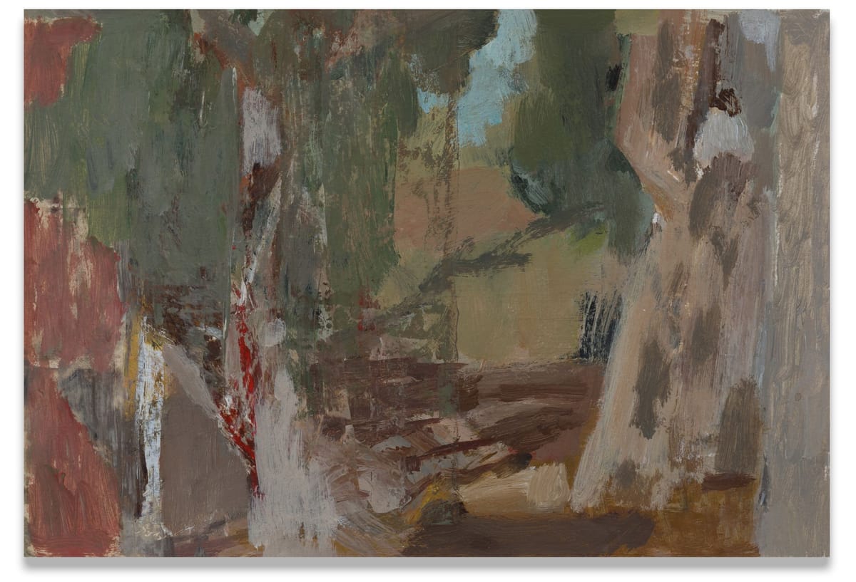 Joanna Logue - Spotted Gum Creek - Fowlers Gap