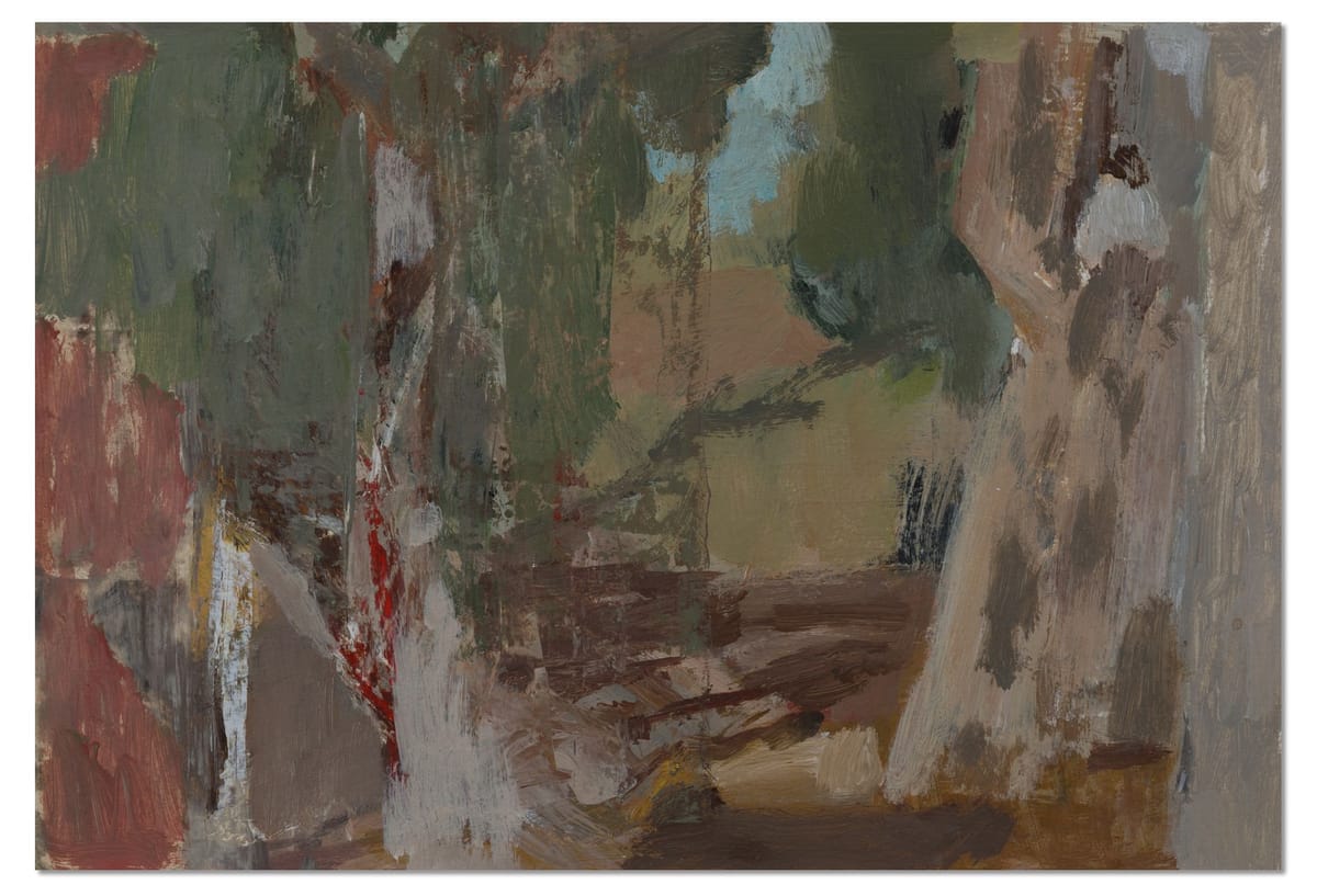 Joanna Logue - Spotted Gum Creek - Fowlers Gap