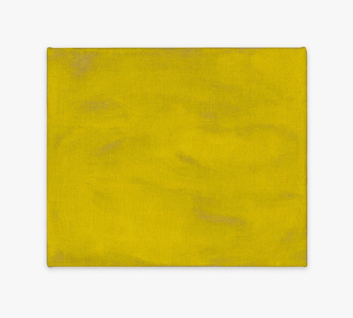 Eleanor Louise Butt - Untitled (tangled resonance / watery radiance)