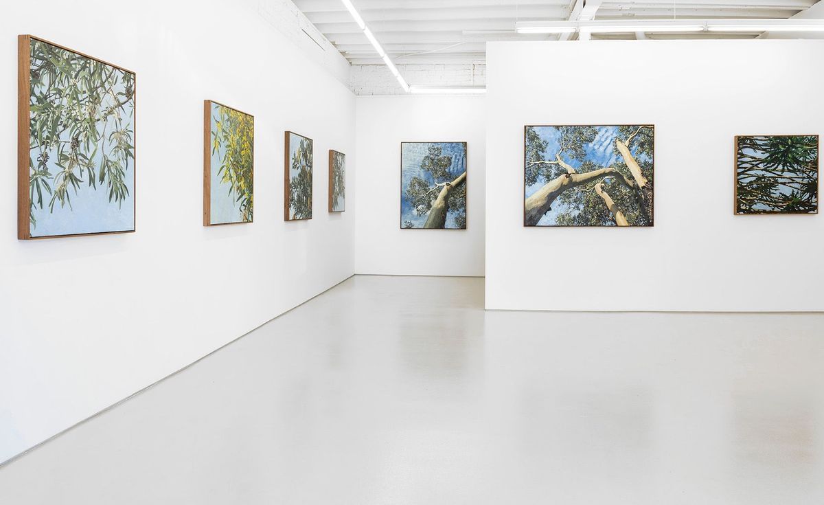 Judith Sinnamon - 'FOLIAGE' INSTALLATION VIEW